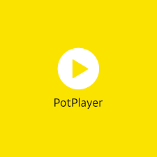  Potplayer 